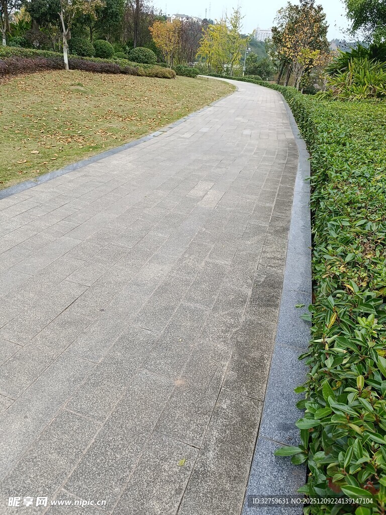 蜿蜒小径旁绿植相伴