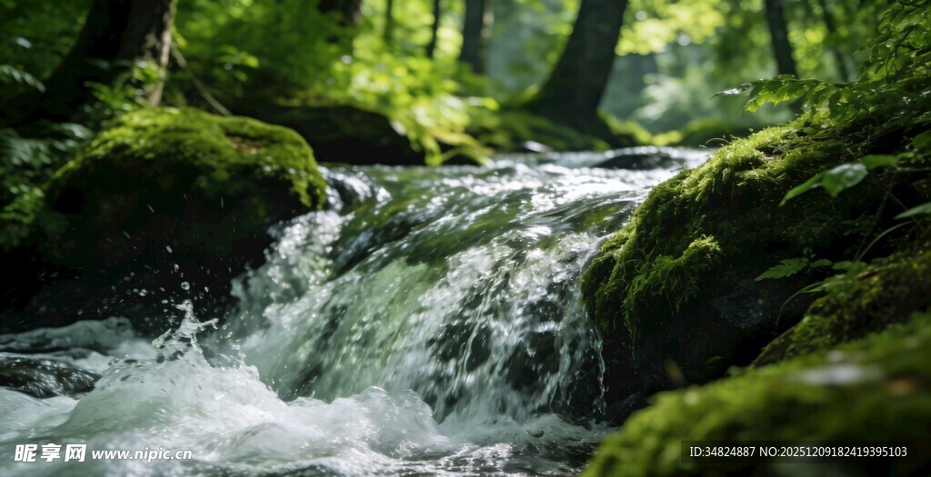 森林中的潺潺溪流