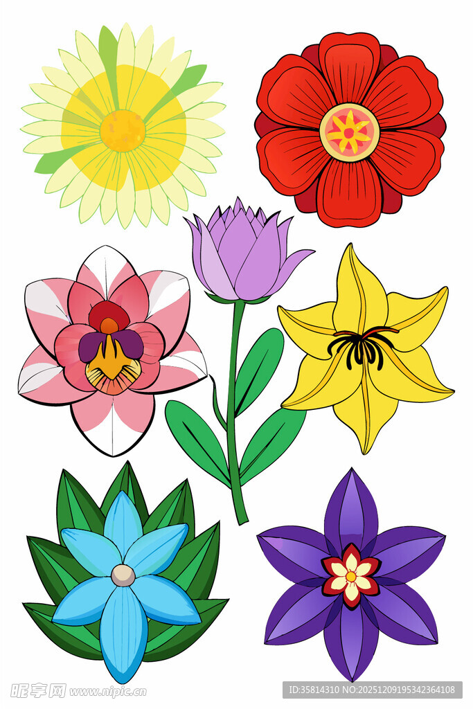 多彩手绘花卉集合