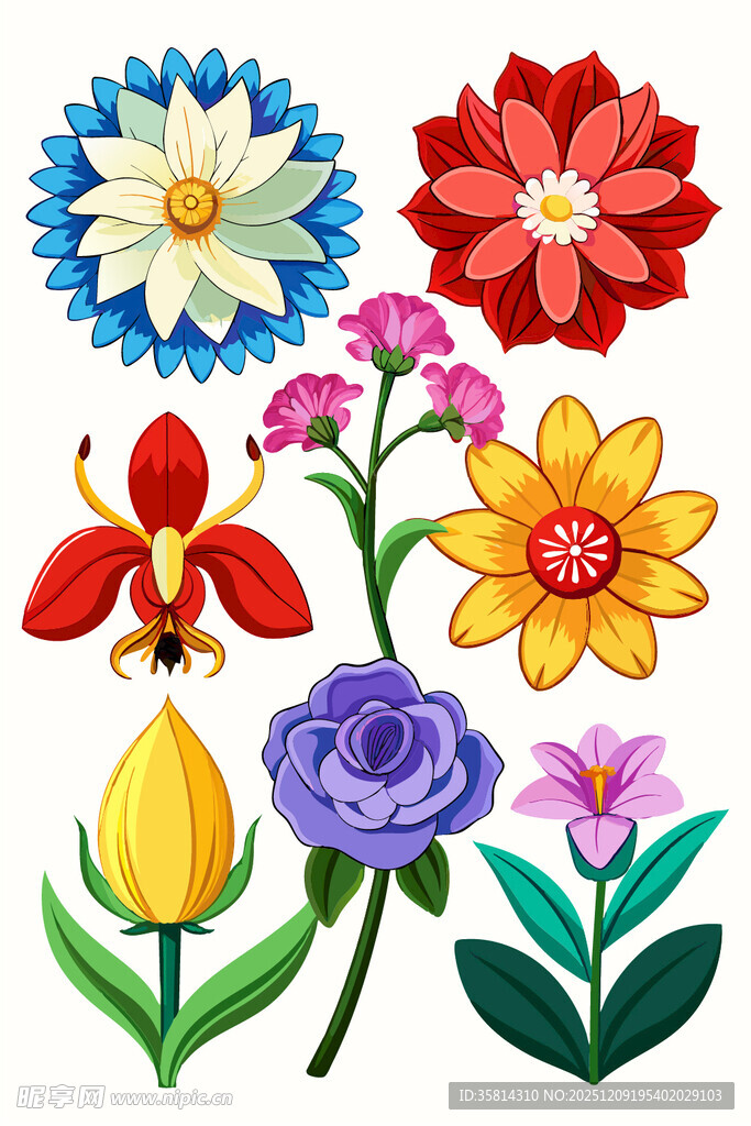 多彩花卉插画集合