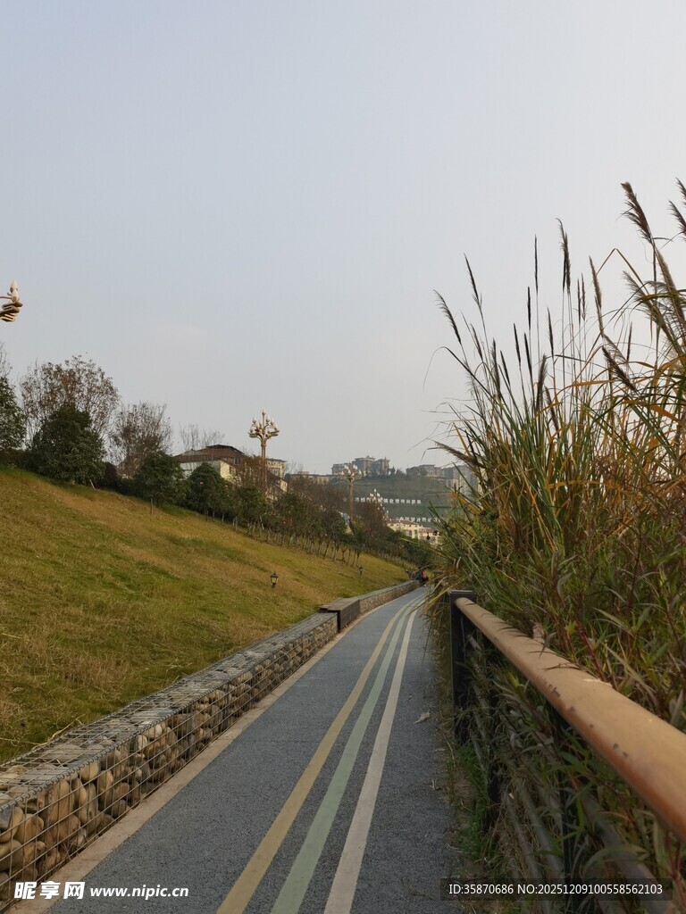 蜿蜒公路旁的葱郁景致