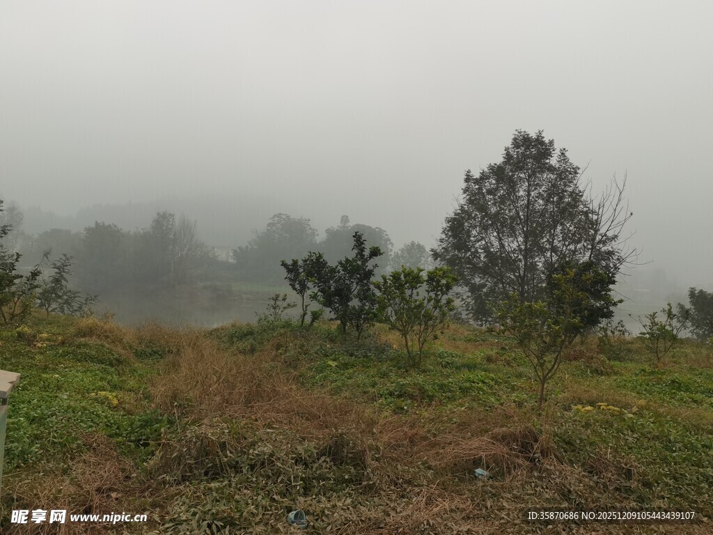 雾中朦胧的野外景象