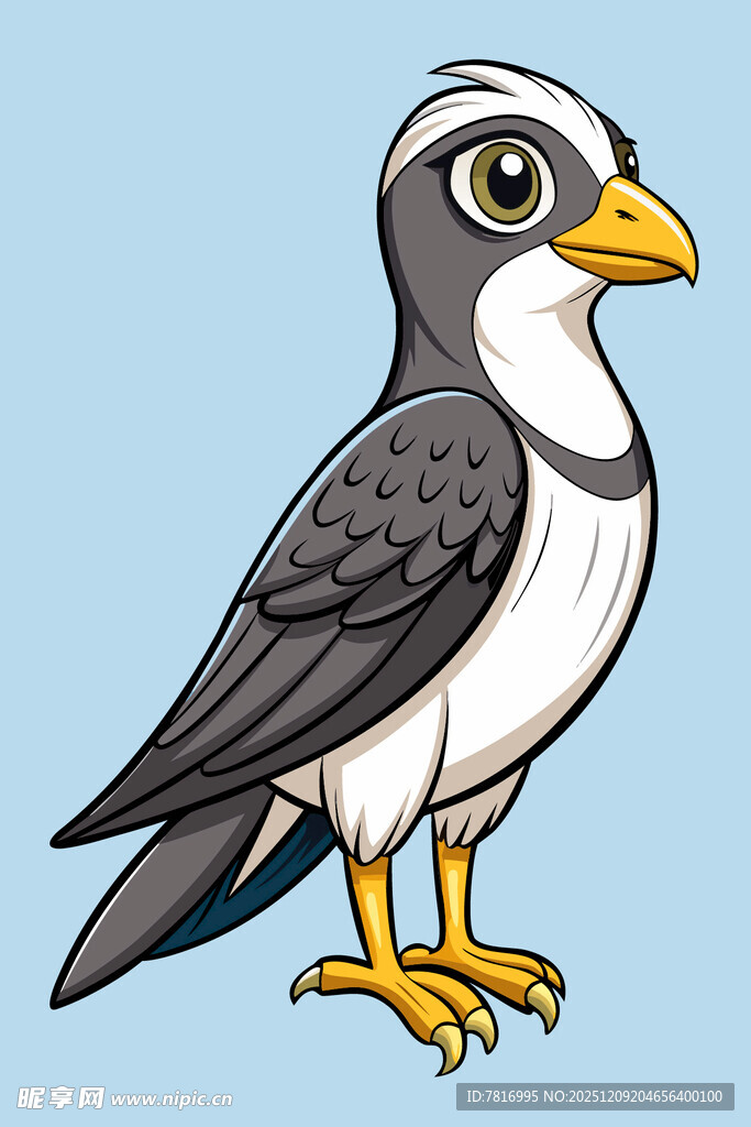 卡通形象的灰背白腹小鸟