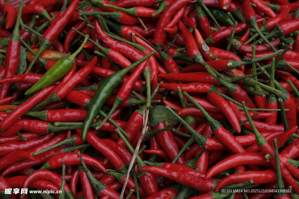 红辣椒