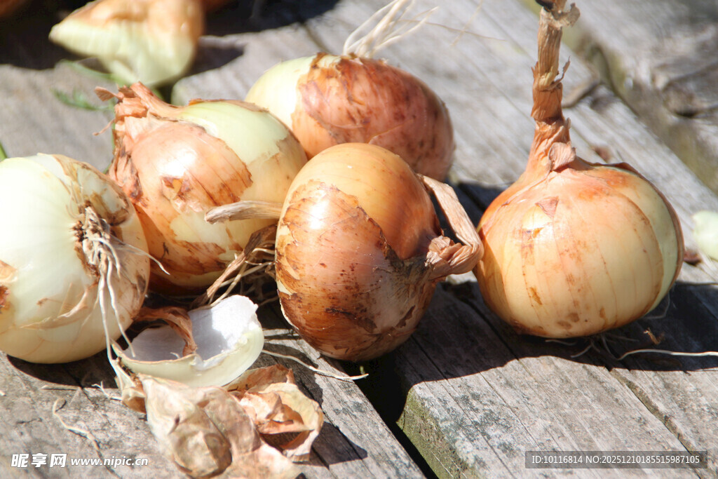 新鲜洋葱