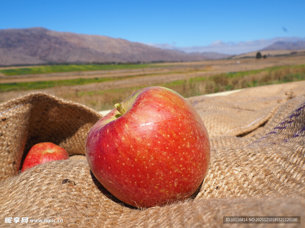 红苹果