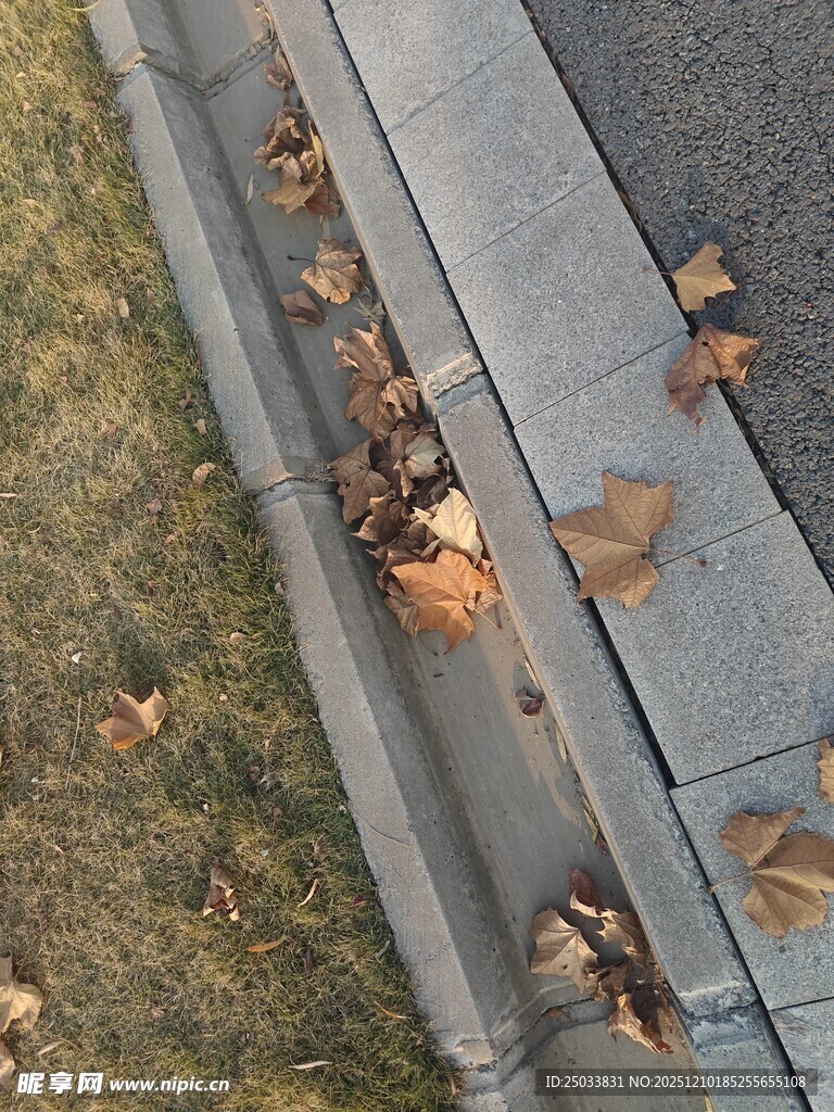 路边排水沟的落叶景象