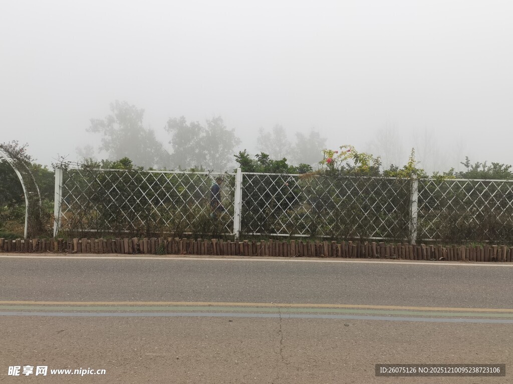 雾中公路旁的围栏景观