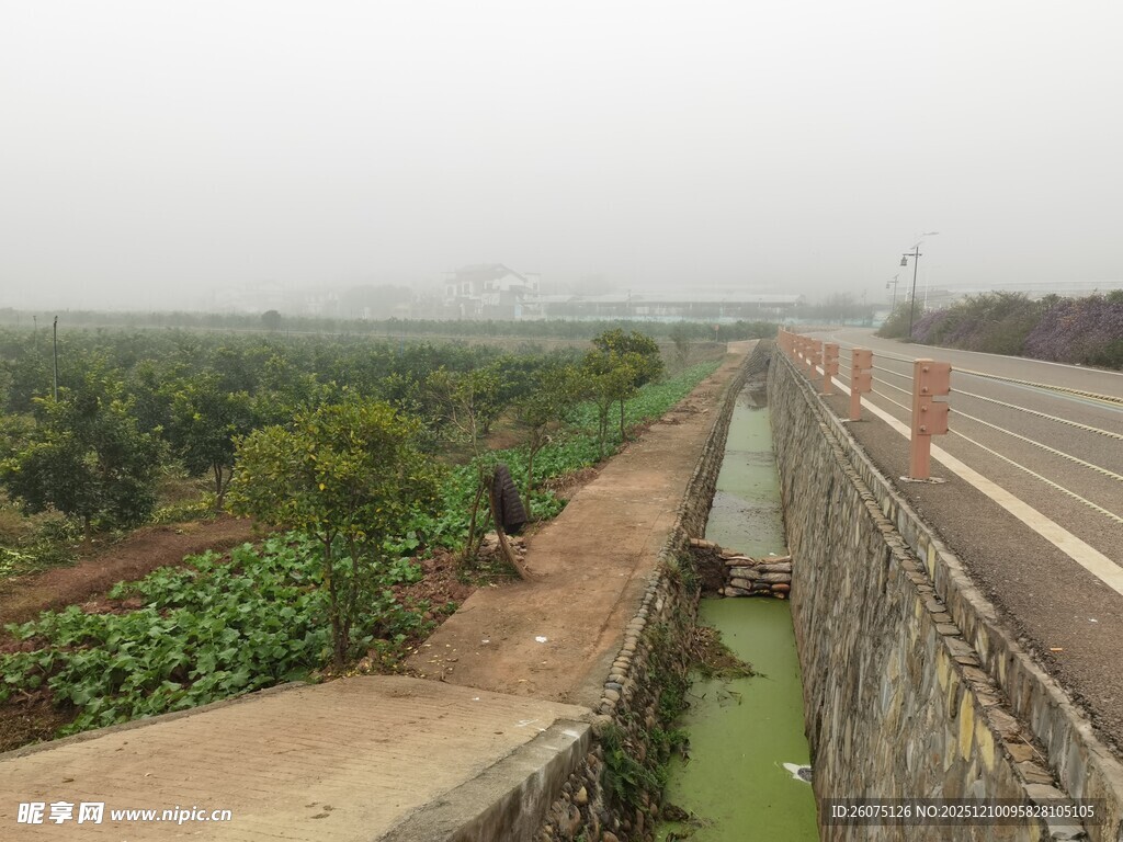 田间水渠景观