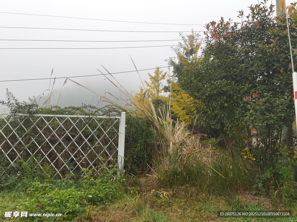 雾中围栏旁的绿植景观