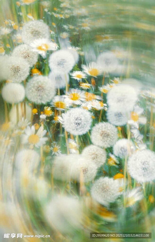 玻璃瓶中的清新蒲公英