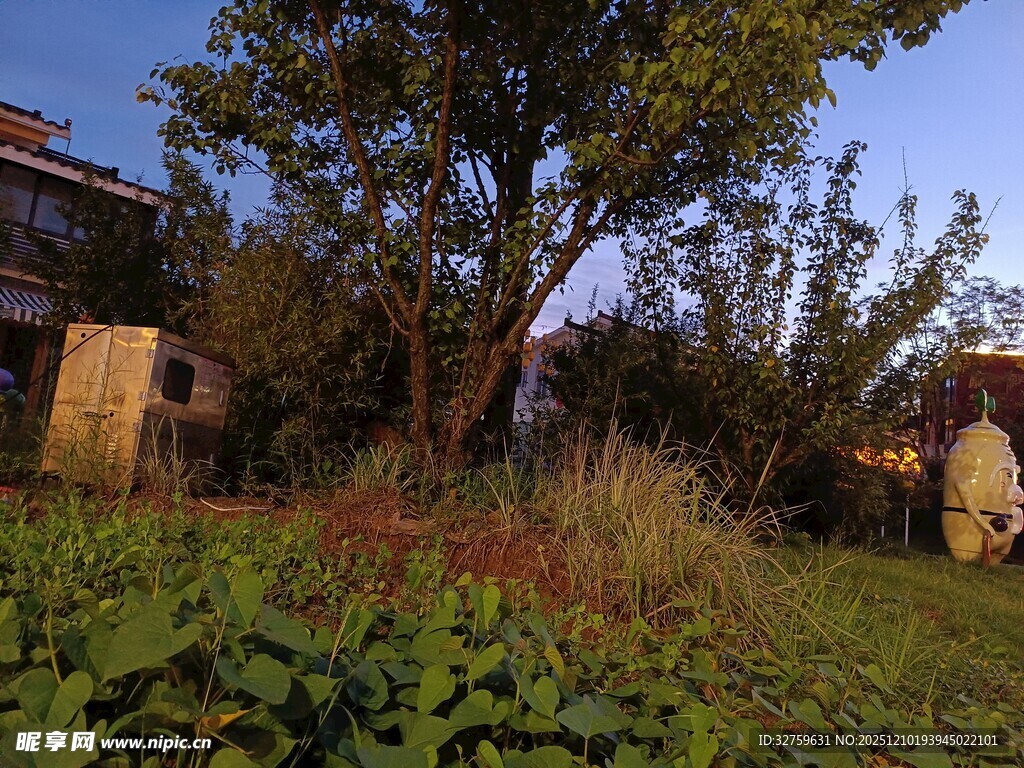 庭院绿植与古朴建筑景观