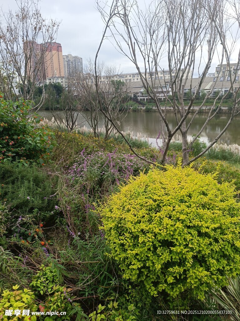 城市中多彩繁茂的绿植景观