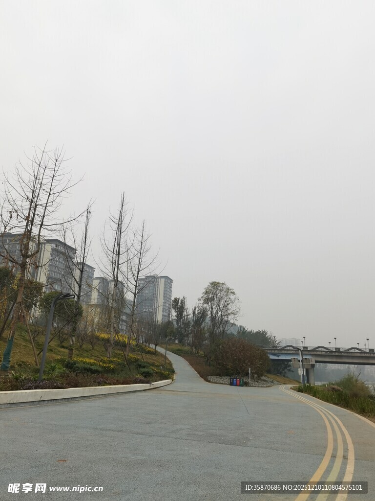 空旷道路旁的稀疏树木