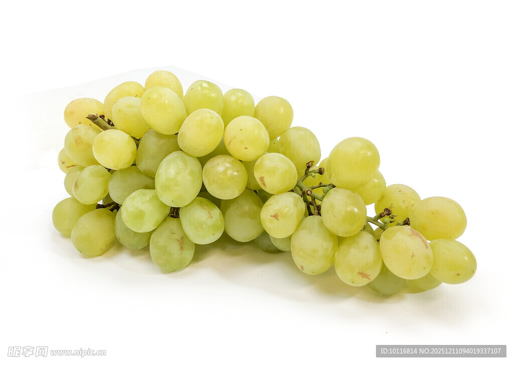 绿葡萄