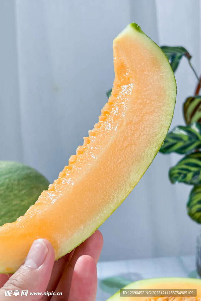 手持美味甜瓜切片