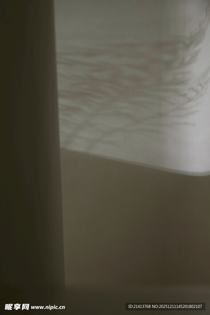 透过缝隙所见的模糊景象