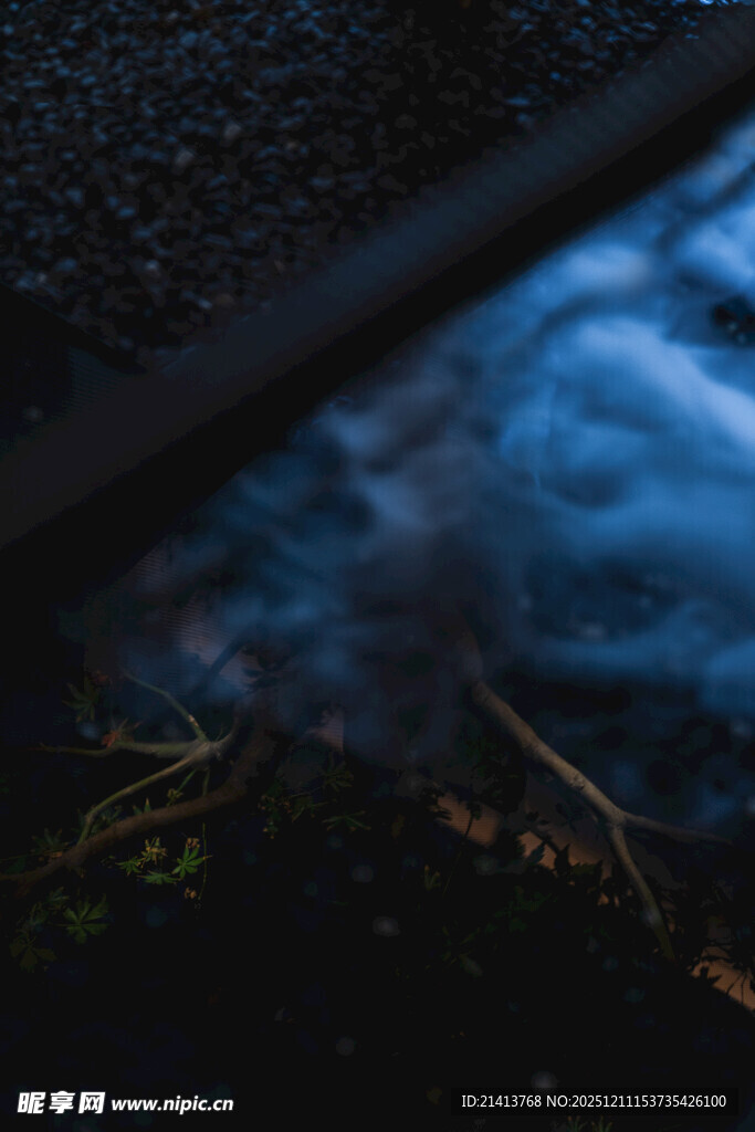 暗夜中神秘的烟雾与植物