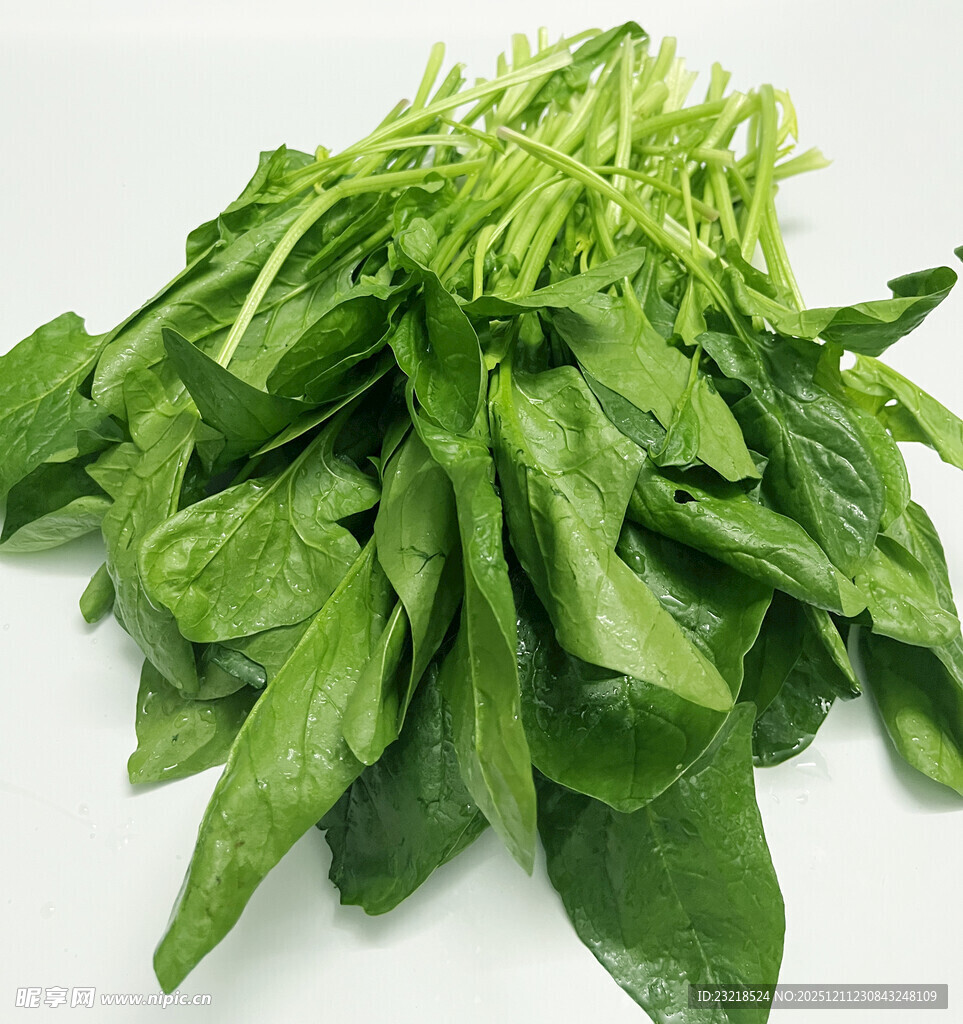 菠菜