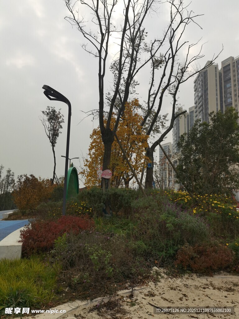 城市中的绿植景观一角