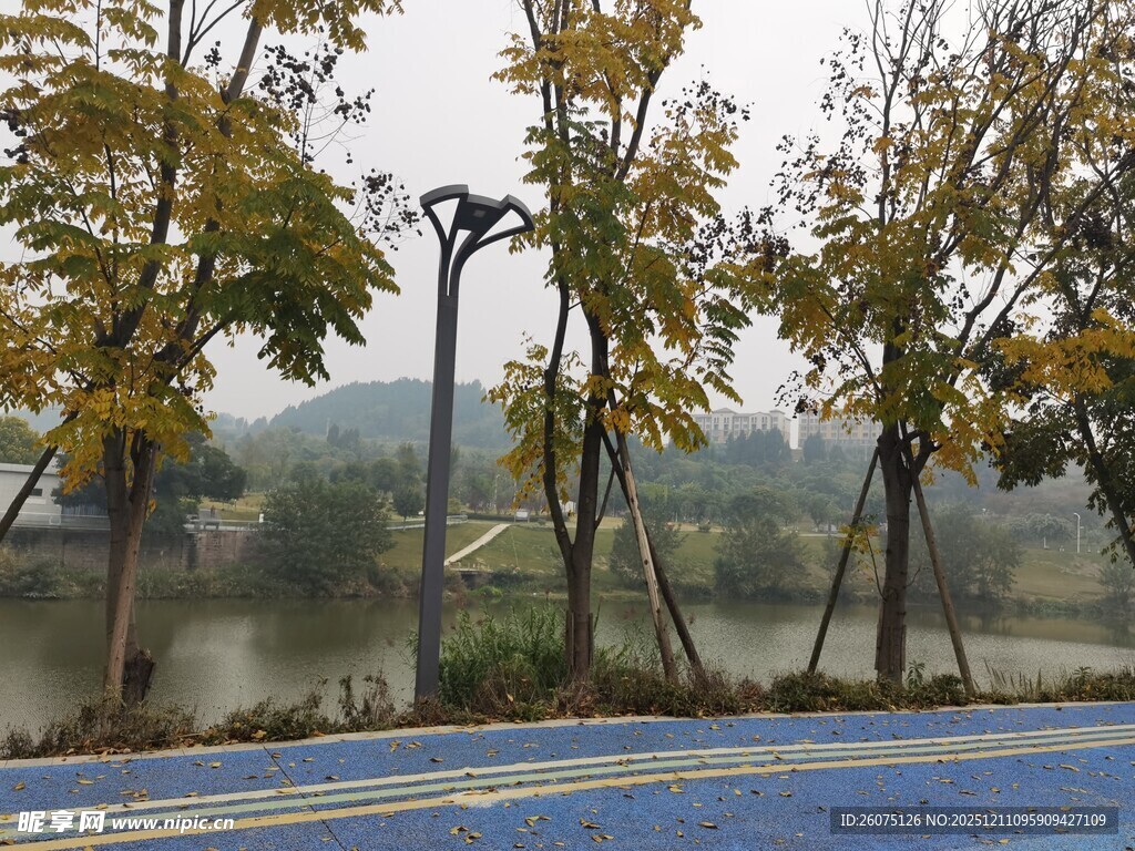 秋日湖边蓝道与树木景色