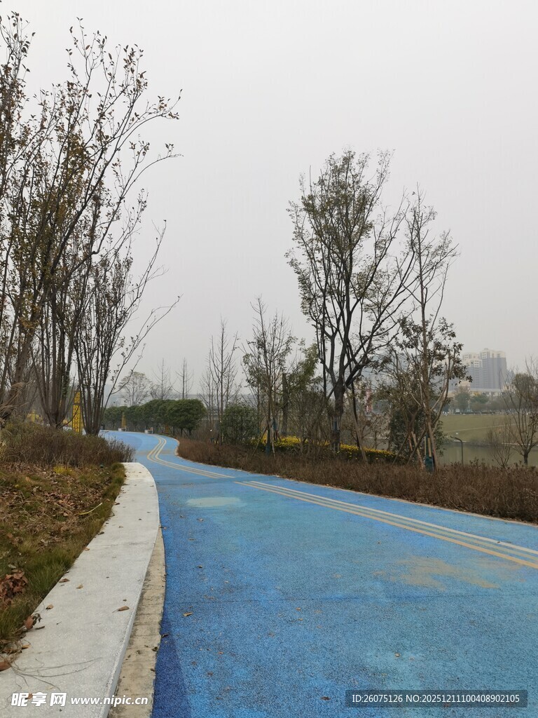 蓝色步道旁的树木景观