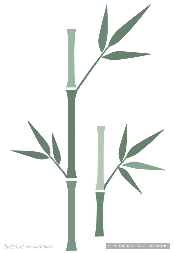 简约风竹子插画