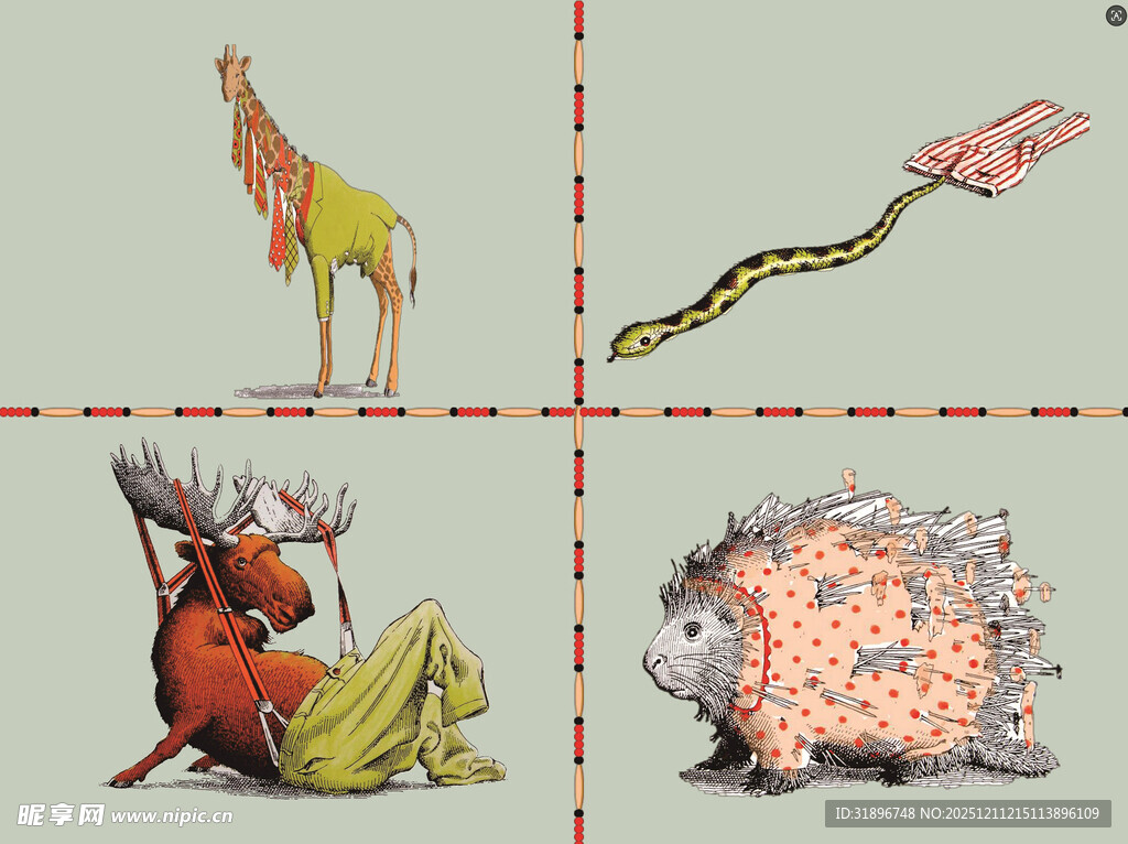 多样奇特动物展示图片