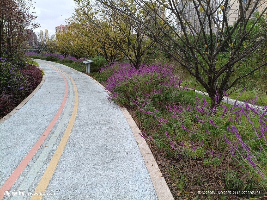 彩色步道旁的烂漫花丛