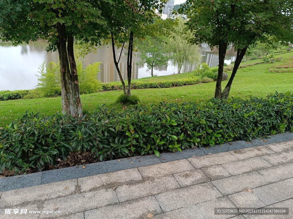 湖畔绿树成荫的步道景观