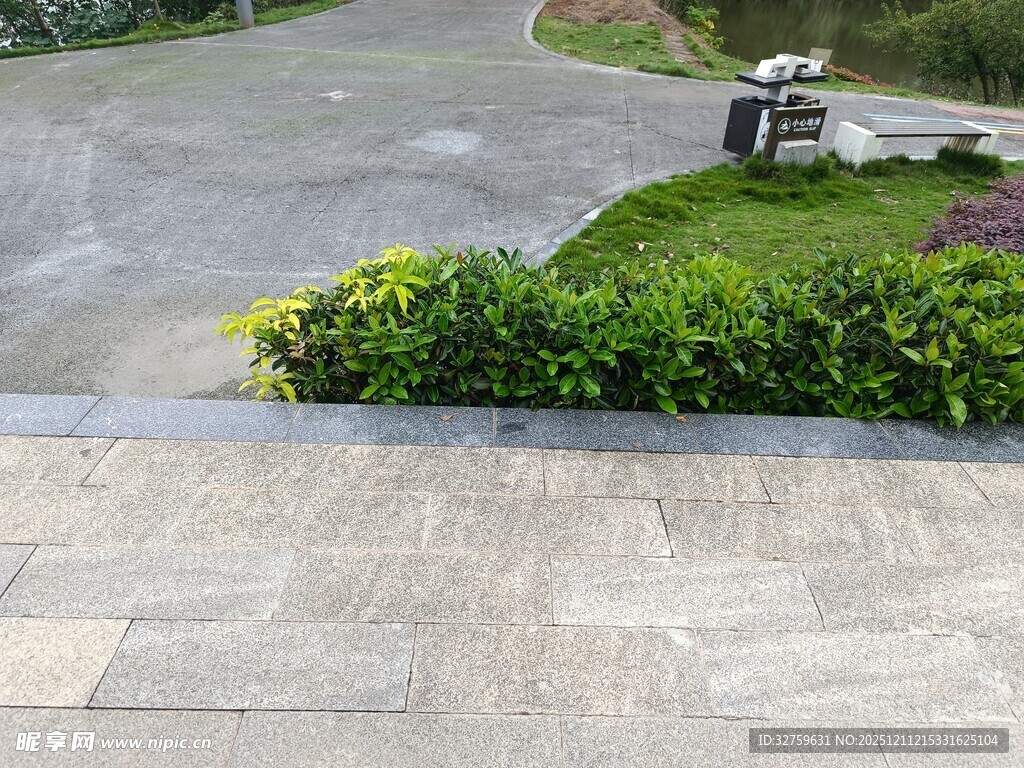 庭院水泥路面与绿植景观