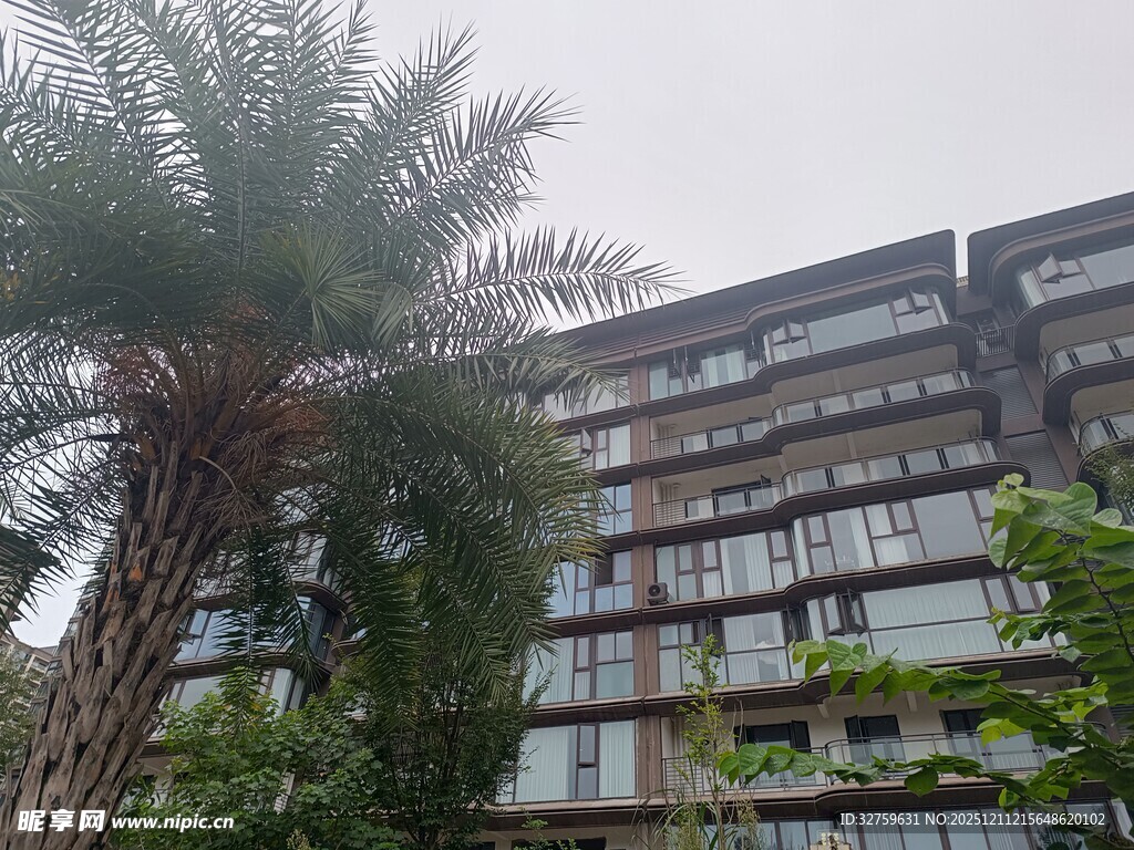 高层住宅旁的绿植景观