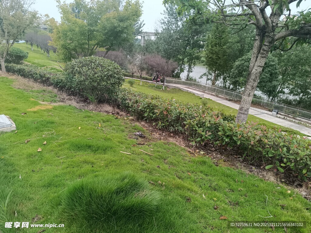 绿意盎然的园林景观