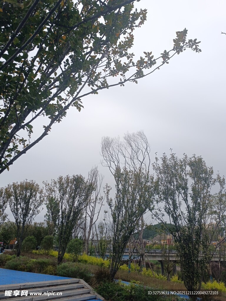 户外园林景观风光