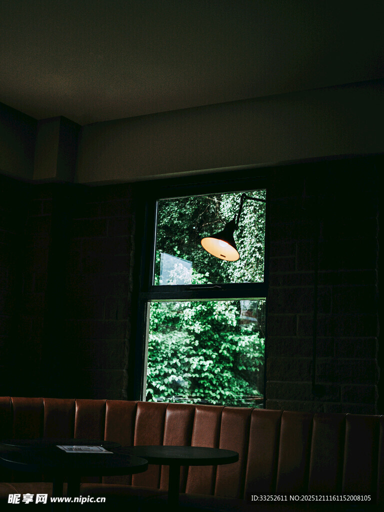 透过窗户看绿意与飞鸟