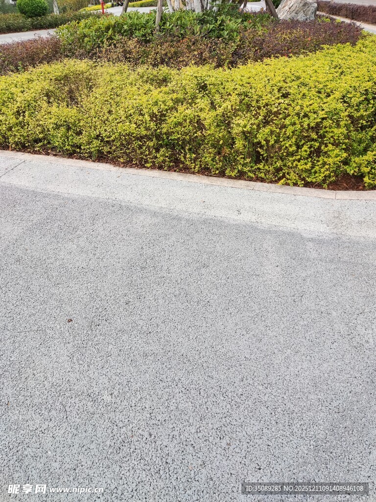 路边绿植与灰色路面景观