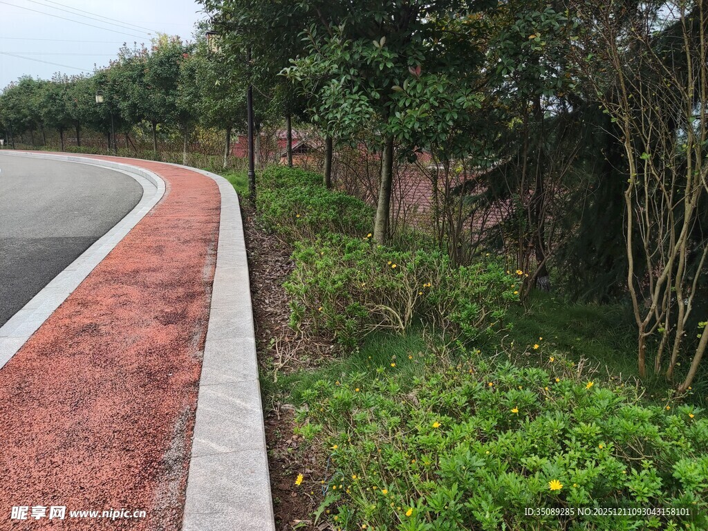 路边绿植与红色步道景观