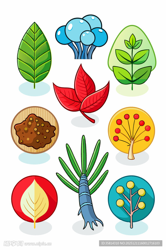 多样植物元素插画