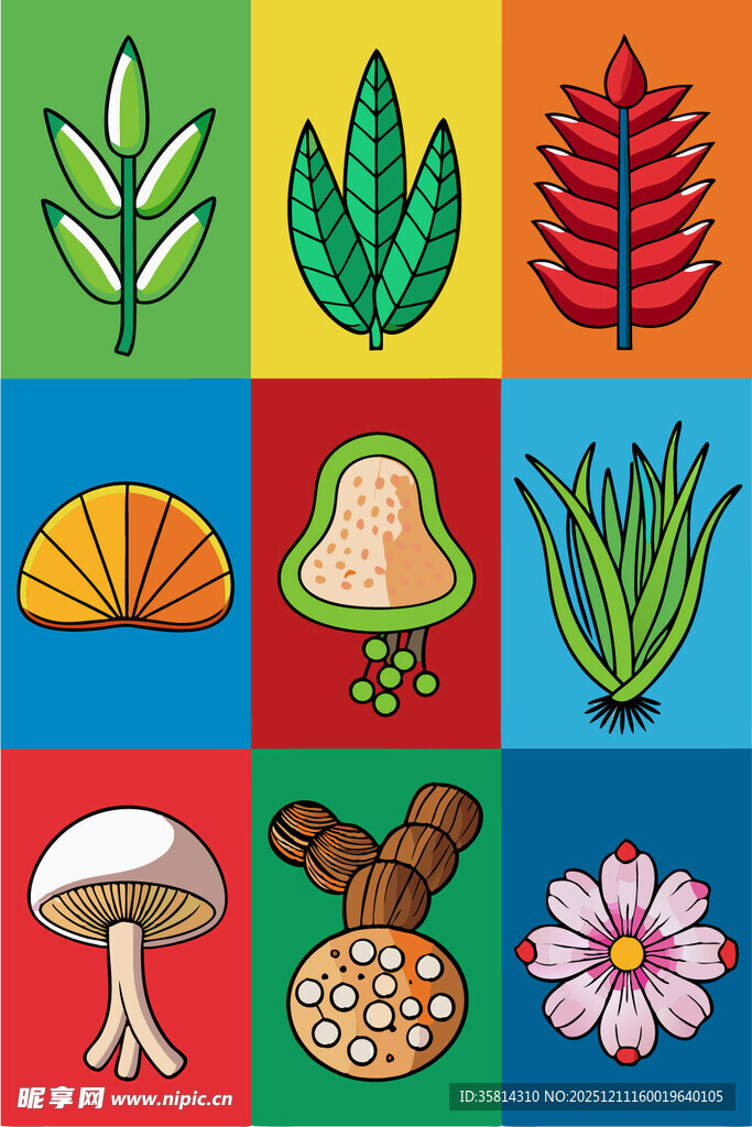 多彩植物与蘑菇图案集合