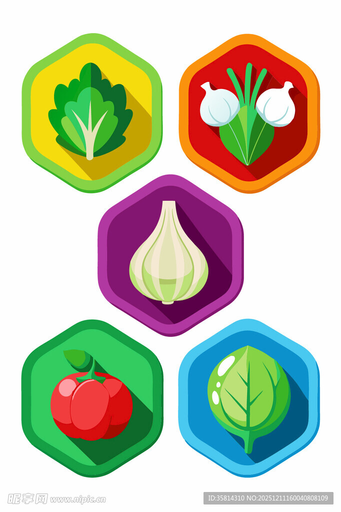 多彩蔬菜图标集合