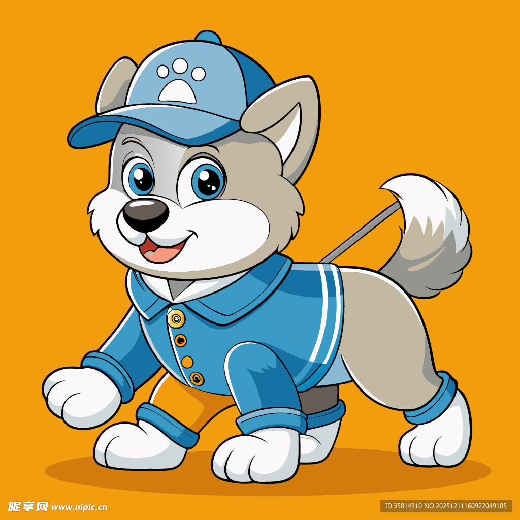 穿运动装的可爱小狗