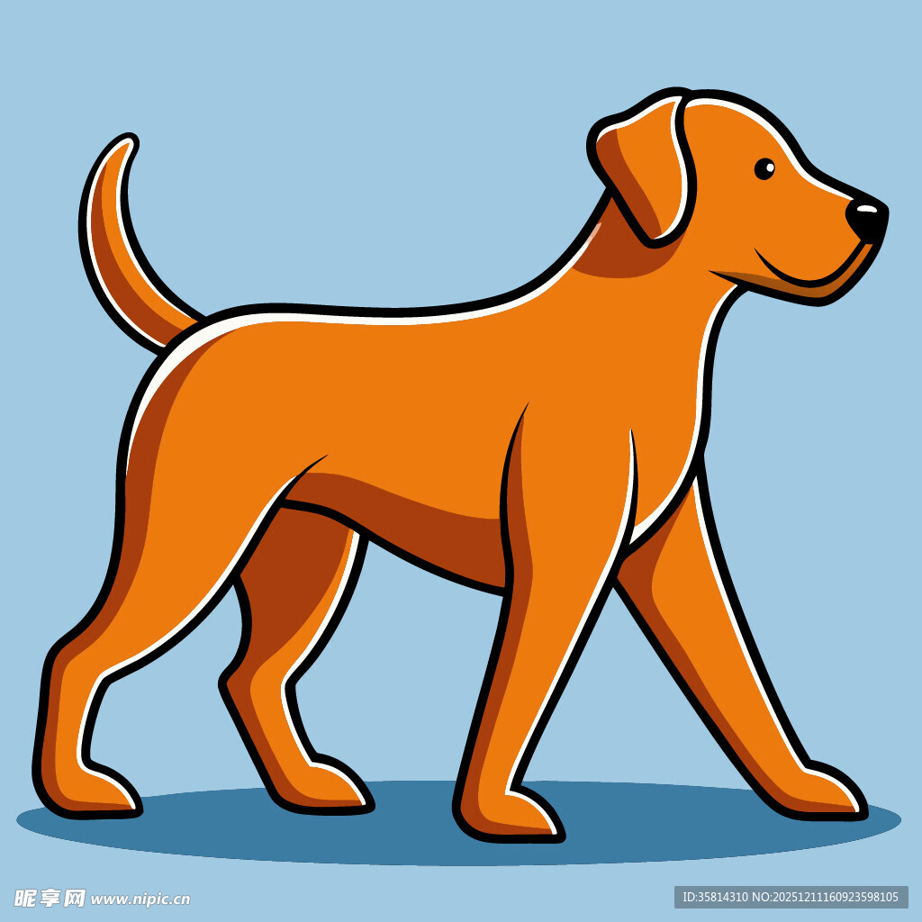 站立的橙色小狗