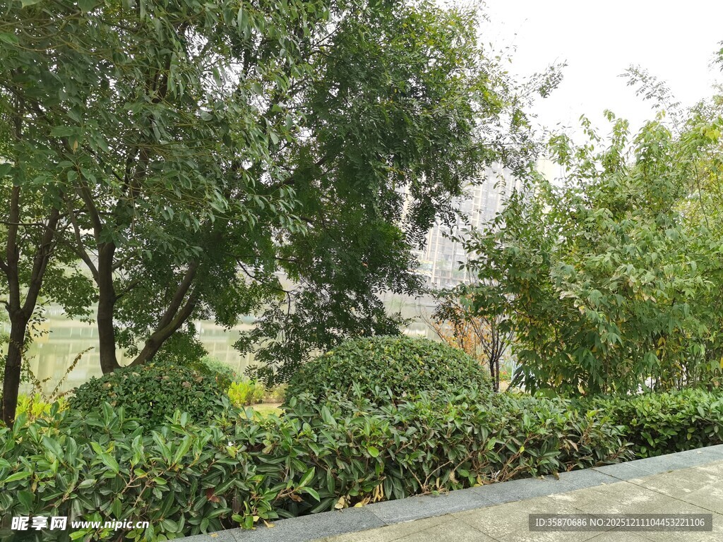 城市中的绿植景观