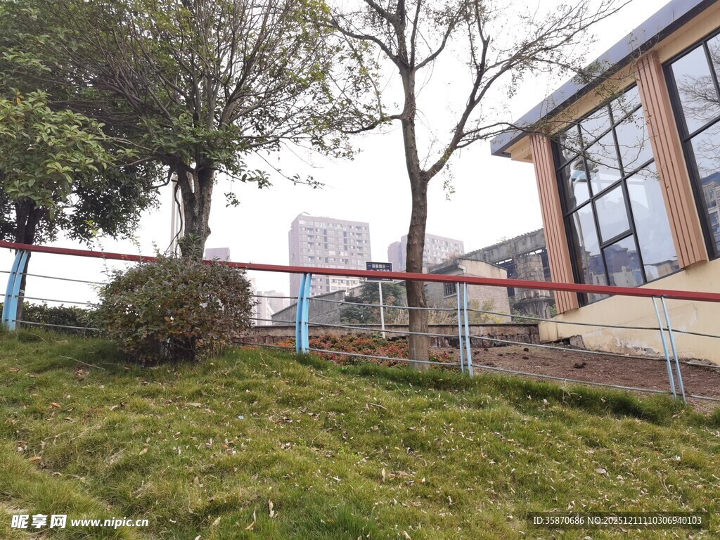 户外绿植旁的建筑物一角