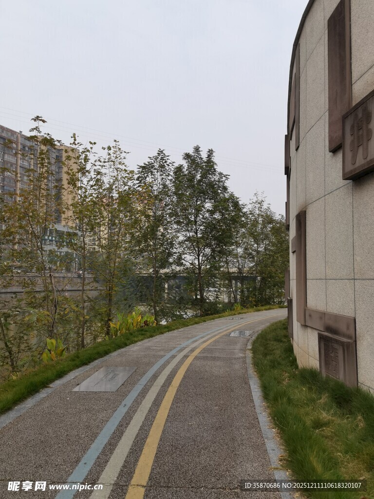 城市中幽静的道路景观
