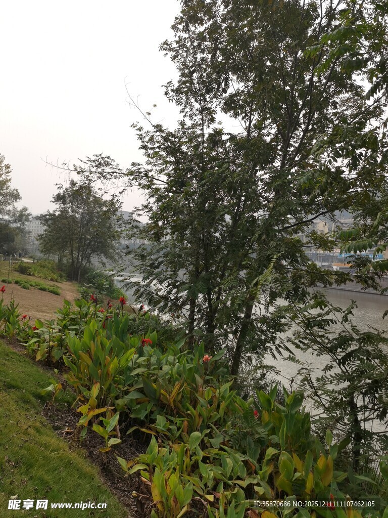 河畔绿植景观