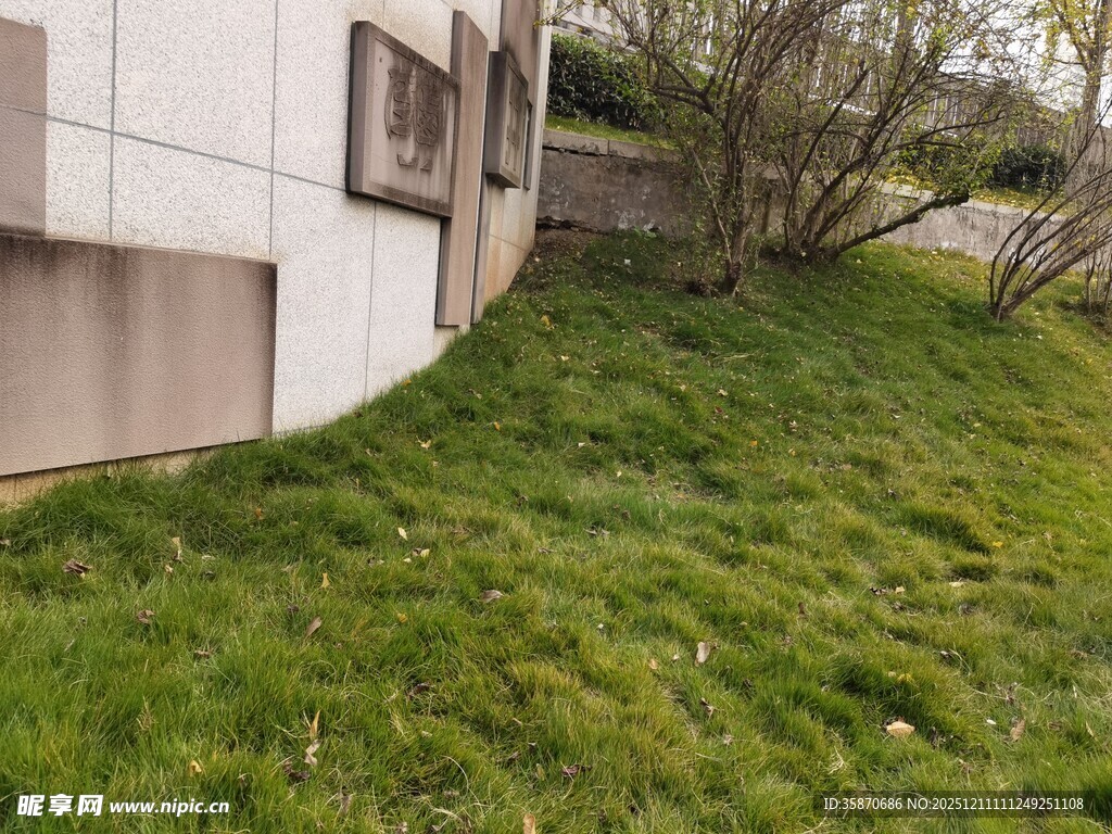 墙边翠绿草地景致