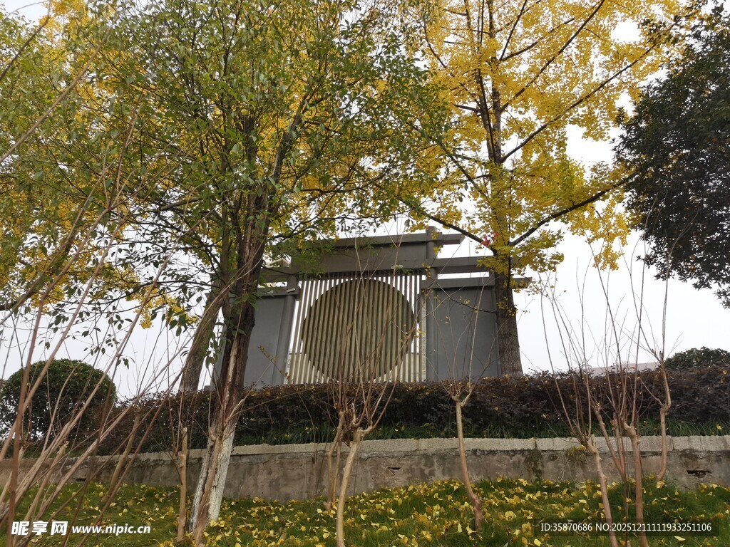 秋日园林中的典雅建筑