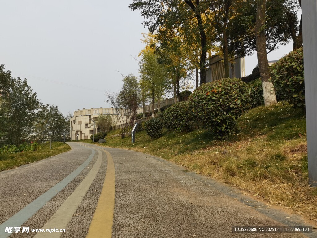 蜿蜒公路旁的葱郁景致