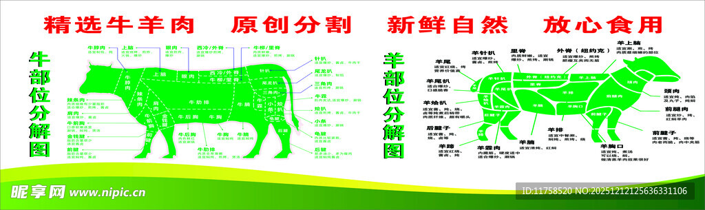 牛羊肉分解图  